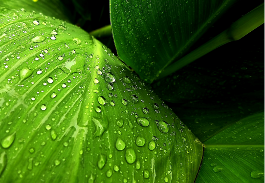 http://img.danews.cc/upload/ajax/20200216/18f9c41d327b4b06a824826917851a7e.png