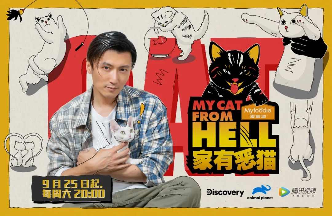 《家有恶猫》中国版重磅来袭，超强阵容带你破译喵星密码！