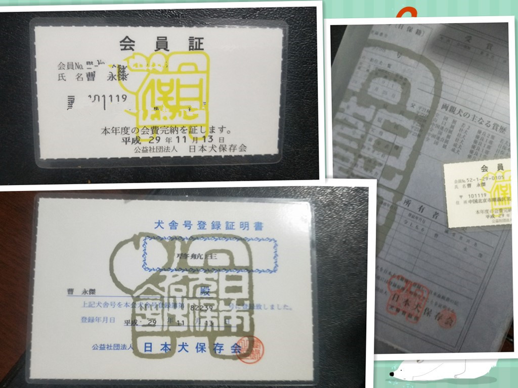 http://img.danews.cc/upload/ajax/20211117/131b45392a9fb0cae5f6f4c10f7482ac.png