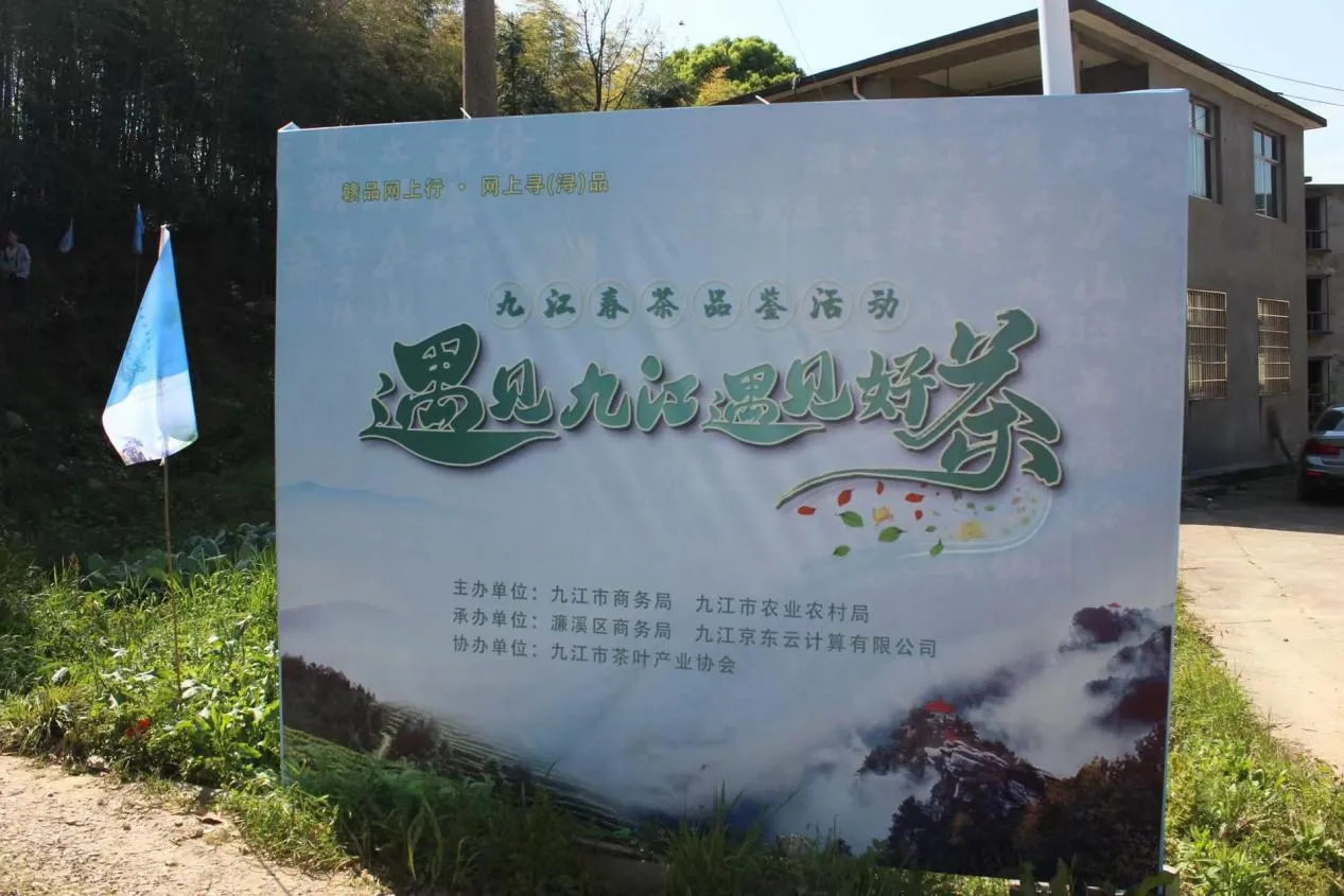 最美人间四月天，只此青绿采茶去！2022“遇见九江 遇见好茶”助力茶产业高质量发展