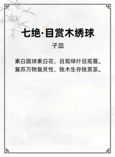http://img.danews.cc/upload/ajax/20240807/0e3e41bc679345d941929cc915f6f260.png