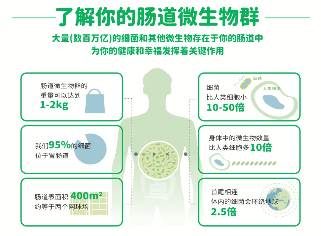 益生菌对生长发育的影响有多大？赛哺高应该怎么吃？