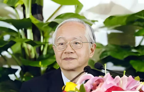 http://img.danews.cc/upload/ajax/2025-07-13/uKNCRsSjkQwJ.png