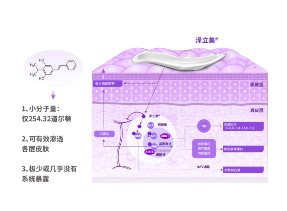 http://img.danews.cc/upload/ajax/20250424/3903c831dd01e34eeec7684f1795a1cd.png