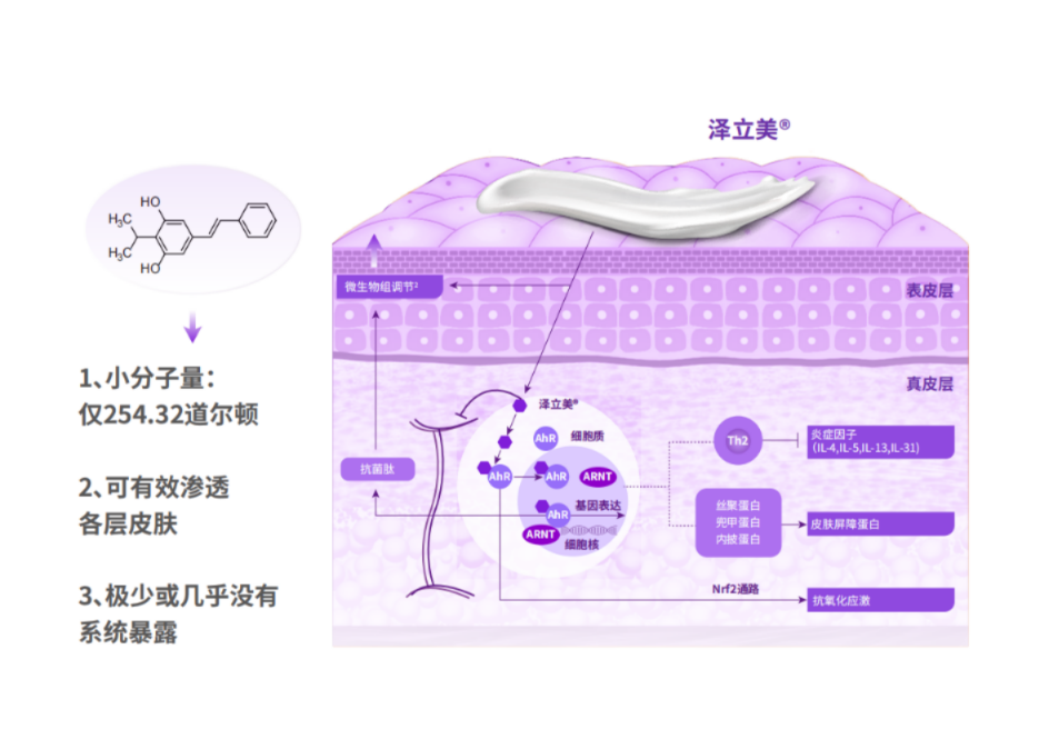 http://img.danews.cc/upload/ajax/20250514/08ba81b1c883624c397fab586b52b1f3.png