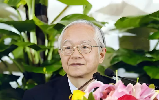 http://img.danews.cc/upload/ajax/20250604/eeef921293464ff0127225f829d37924.png