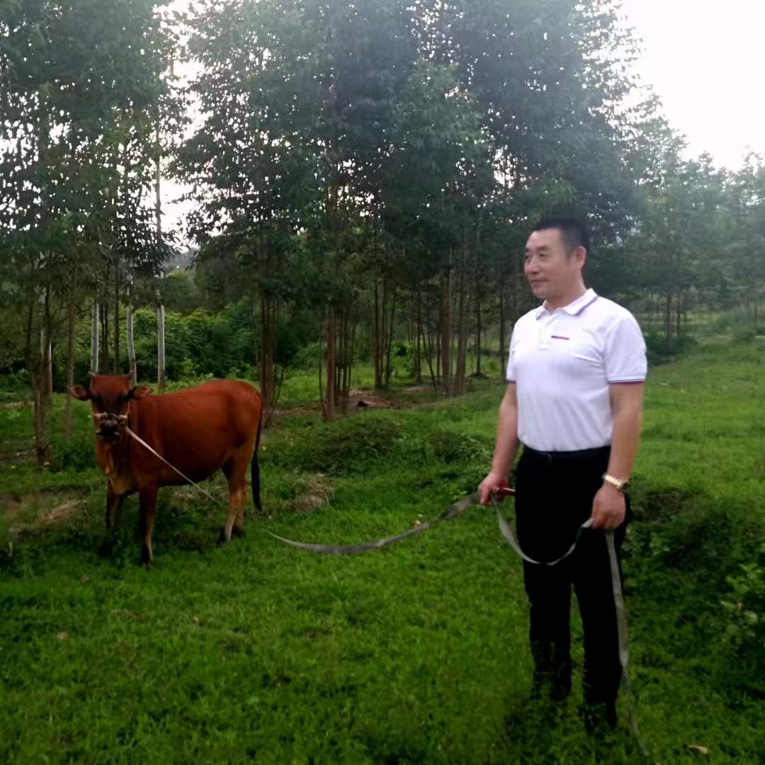 盛世•新程杯全国诗词大赛第一名《韩喜军》作品赏鉴