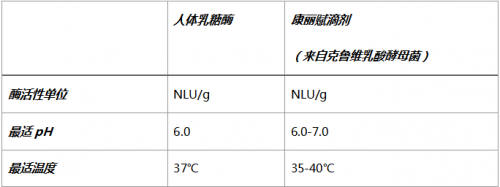 各行业年终交流会顺利召开