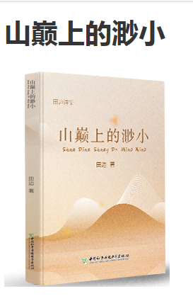 《山巅上的渺小》作者田边新书正式发行诗歌图书出版