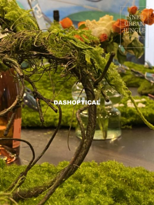 DASHOPTICAL大视光学”INNER URBAN JUNGLE觅镜都市丛林”艺术专展精彩启幕