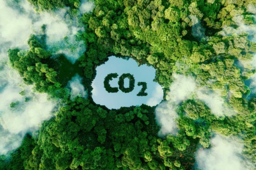 实现碳达峰目标：中碳CCNG和的角色与贡献