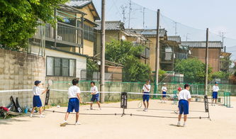 1分钟创建超实用的中小学易查分数的查询系统