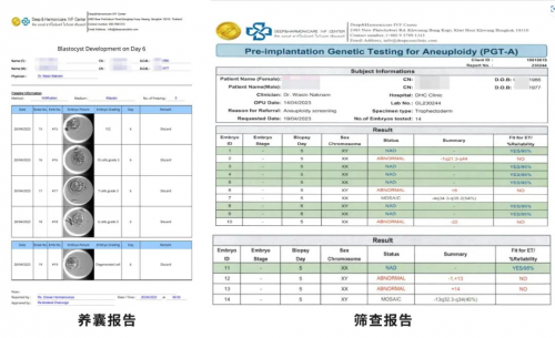 泰国DHC—自怀不孕，试管失败，37岁的她如何成功收获龙凤胎？