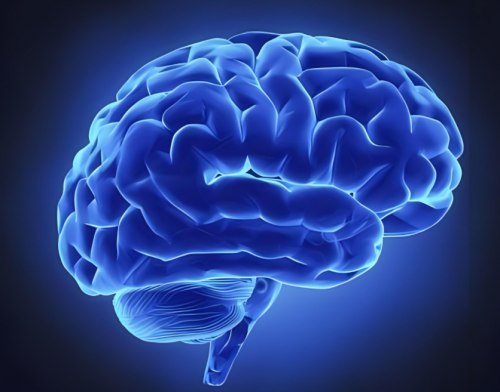 脑怡维BRAINESVITAL：科学成分配比，全方位抵御大脑衰老