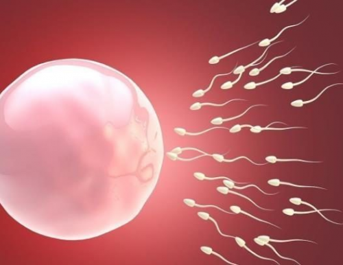 美亚试管：评估女性卵巢功能有哪些指标？