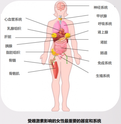 女性“活得久”却“老得快”，怎么解？