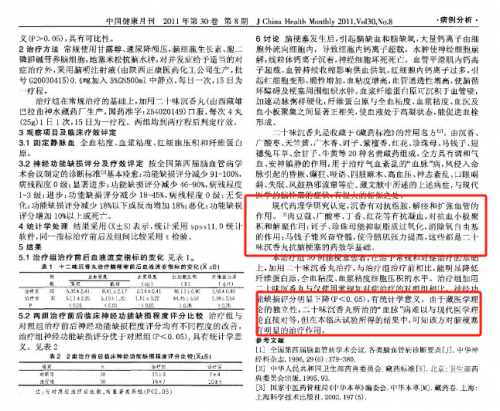 脑梗治疗新篇章：专家深度解析传奇藏药疗效