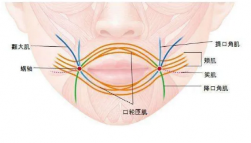 有法令纹、口角囊袋、鼻基底凹陷的姐妹看这里 高盛川院长口周年轻化最全攻略！