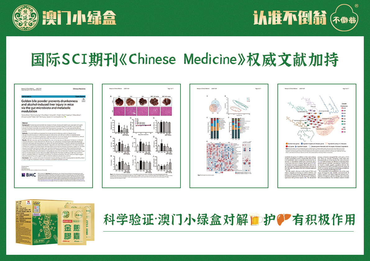 澳门养肝新风尚，熊延堂澳门小绿盒引领守护健康新潮流