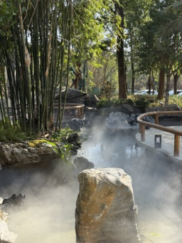 湘畔田园：院子餐饮≠“土味”，打造自然美学更能赢得市场