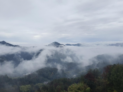 歙县上丰乡：雨后姬川云海绕