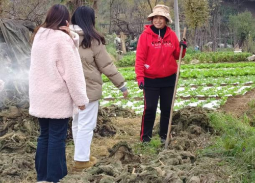 《“姜”采收难题迎刃而解，生姜收获机助力农业提效》