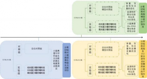 治沙功臣—沙蒿在健康食品领域再次展现其独特魅力