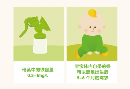 儿保专家告诉你的9条Little Freddie小皮米补铁知识