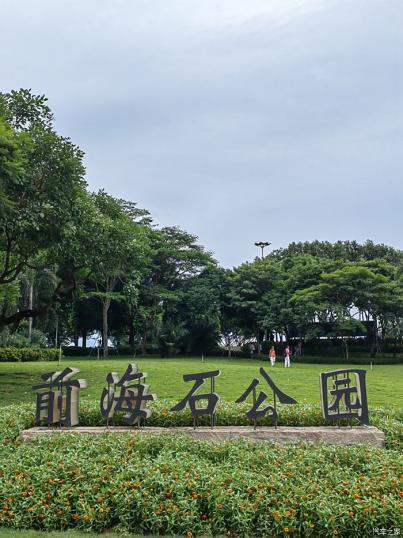 白衣天使陈琳前往前海人寿附近赏景，品味千万年前的前海石艺术