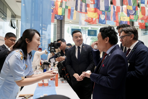 连续三年亮相联合国粮农组织，八马茶业荣膺国际茶日推荐用茶