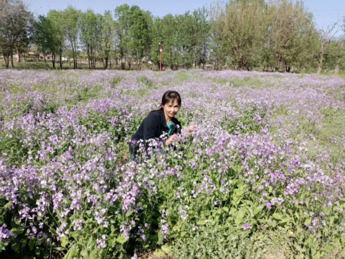 第二十届“风雅古韵”杯全国诗词文化大赛专家评审获奖名单揭晓