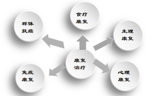 肿瘤专家张玉田教授：深耕免疫三重建，为肿瘤患者筑牢健康防线