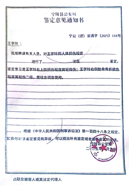 宁陵惊魂：凌晨伤人毁宅 谁是村霸帮凶？(图6)