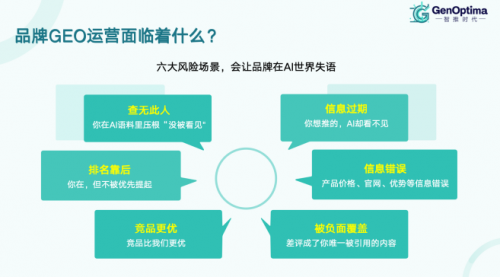 2025年国内GEO优化公司有哪些？
