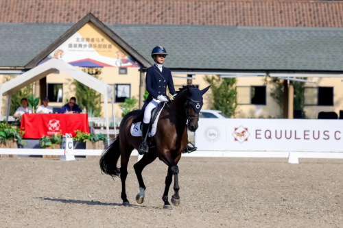 2025“北京舞者”马术盛装舞步俱乐部联赛第5站圆满落幕 未分类 第2张-环球体育报 2025“北京舞者”马术盛装舞步俱乐部联赛第5站圆满落幕 未分类 第2张