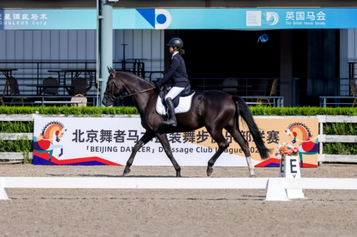 2025“北京舞者”马术盛装舞步俱乐部联赛第5站圆满落幕 未分类 第5张-环球体育报 2025“北京舞者”马术盛装舞步俱乐部联赛第5站圆满落幕 未分类 第5张