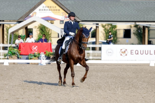 2025“北京舞者”马术盛装舞步俱乐部联赛第5站圆满落幕 未分类 第6张-环球体育报 2025“北京舞者”马术盛装舞步俱乐部联赛第5站圆满落幕 未分类 第6张