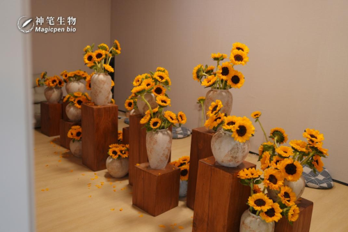 从成都疗愈展走向全国 神笔生物开创「植物光疗」赛道