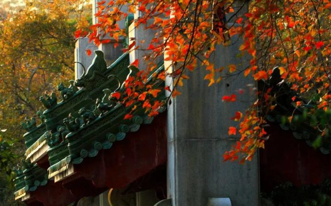 深圳团建公司哪家好?2025 珠三角服务商排名 + 区域选型指南【附避坑清单】