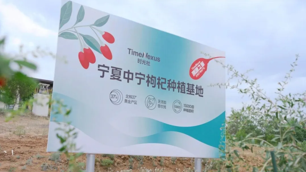 道地中宁头茬枸杞上新！时光社TimeNexus 2026 头茬枸杞年度预售开启