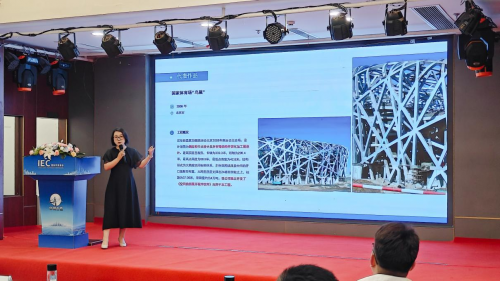 国际出海赋能西南——IEC国际环境建设西南地区发展论坛福泉启幕