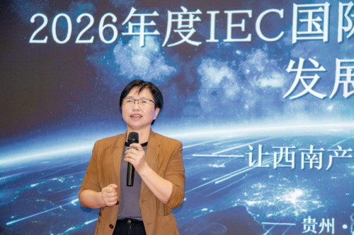 国际出海赋能西南——IEC国际环境建设西南地区发展论坛福泉启幕