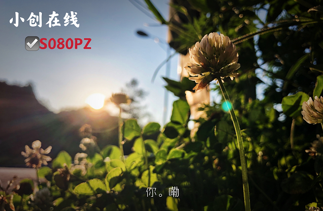 http://img.danews.cc/upload/image/png/20220713/8590c443e9b95fa19d7a9e2ab5e87776.png