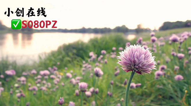 花呗信用购提现新方法，急用钱必看（24H正规商家秒回无风险）