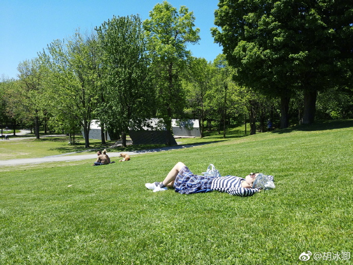 http://img.danews.cc/upload/images/20200710/6f27a8844a5d17343e3851c08dddee1d.jpg
