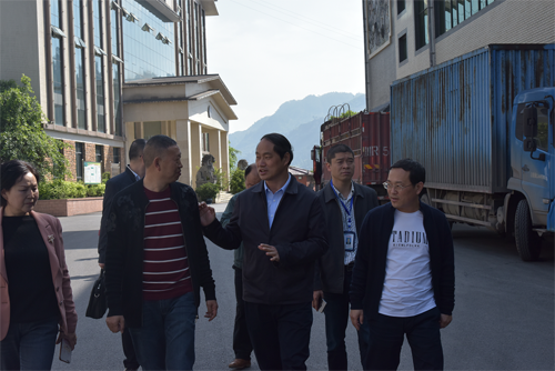 5326867ab66369baad8b4b08a37c234