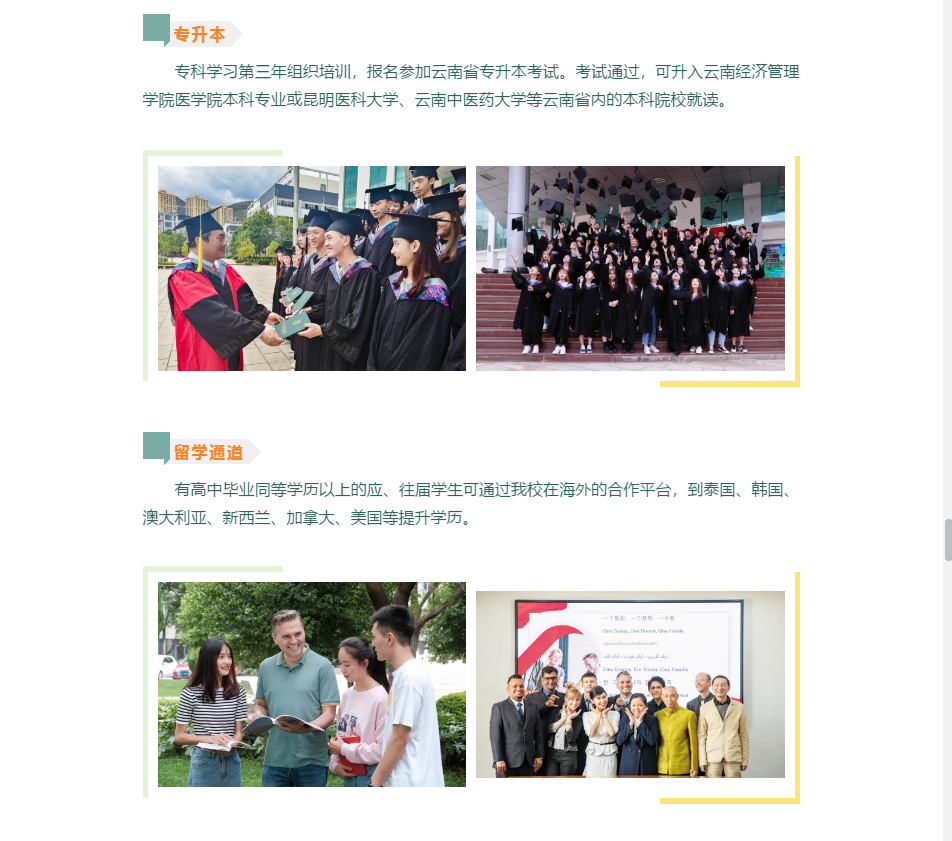 云南医药健康职业学院2020年招生计划出炉！（分省分专业）