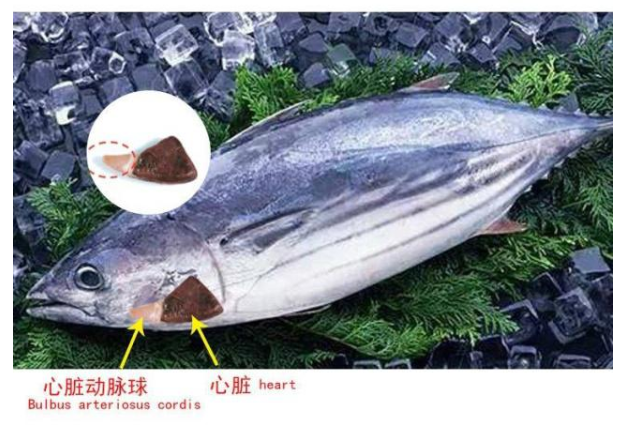 86ac3eb47c7ec3d31dbbf9c7264a6a5