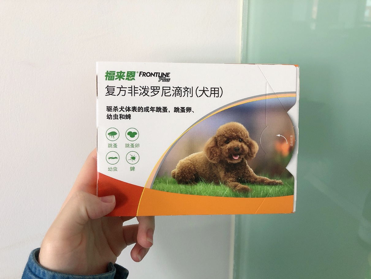 小狗狗驱虫首选福来恩,省心安心更放心 小狗狗驱虫首选福来恩,省心安心更放心