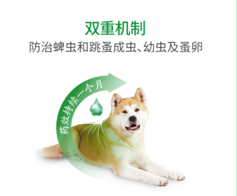 铲屎官的必修课—狗狗 铲屎官的必修课—狗狗